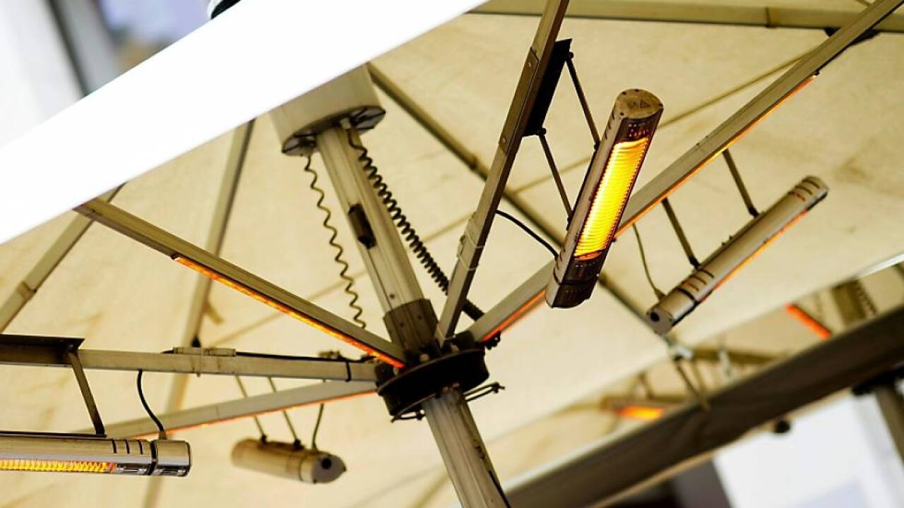 Geld oder Schwammerl 