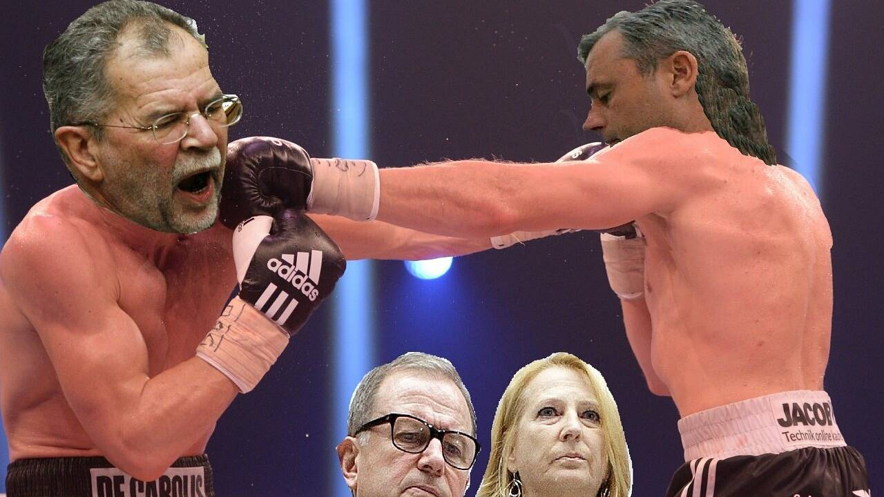 Exekution von Urteilen des VfgH (Art 146 Abs. 2)/ Niederschlagungsrecht (Art 65 Abs. 2 lit. d).   