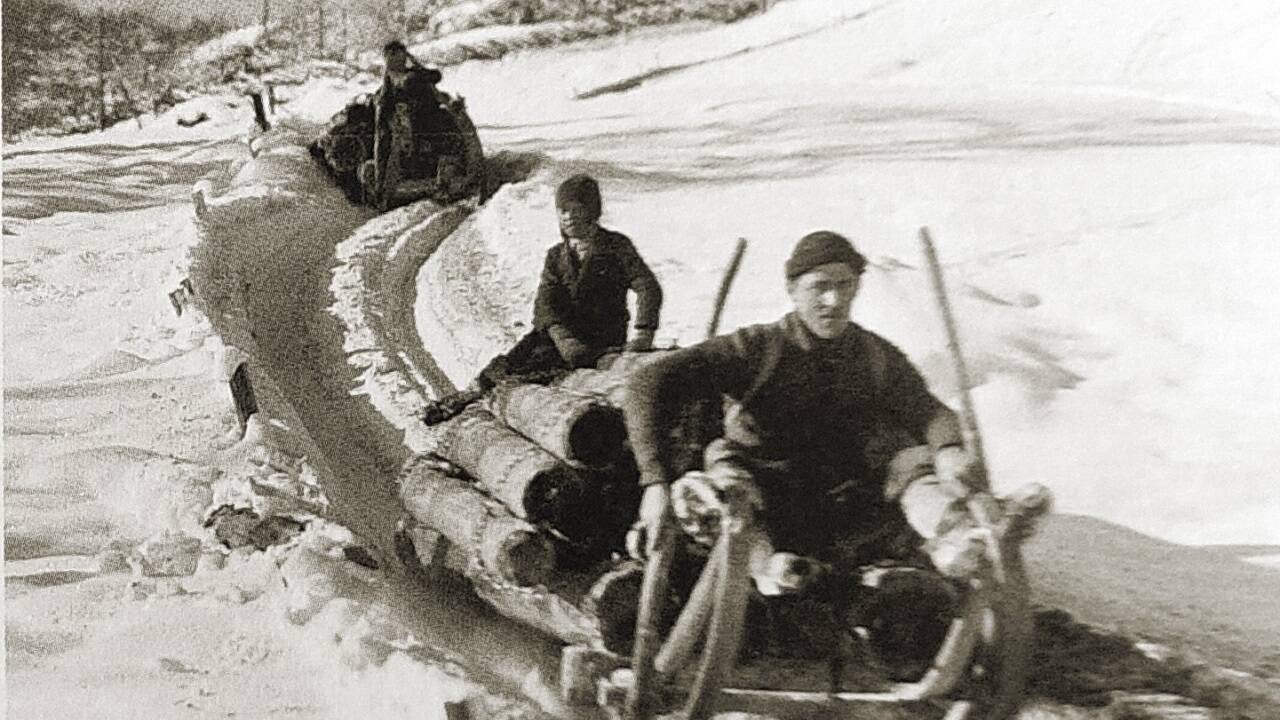 Holzbringung mit Schlitten am Kapruner Schaufelberg in den 1920er-Jahren: Eine sehr gefährliche Arbeit. 