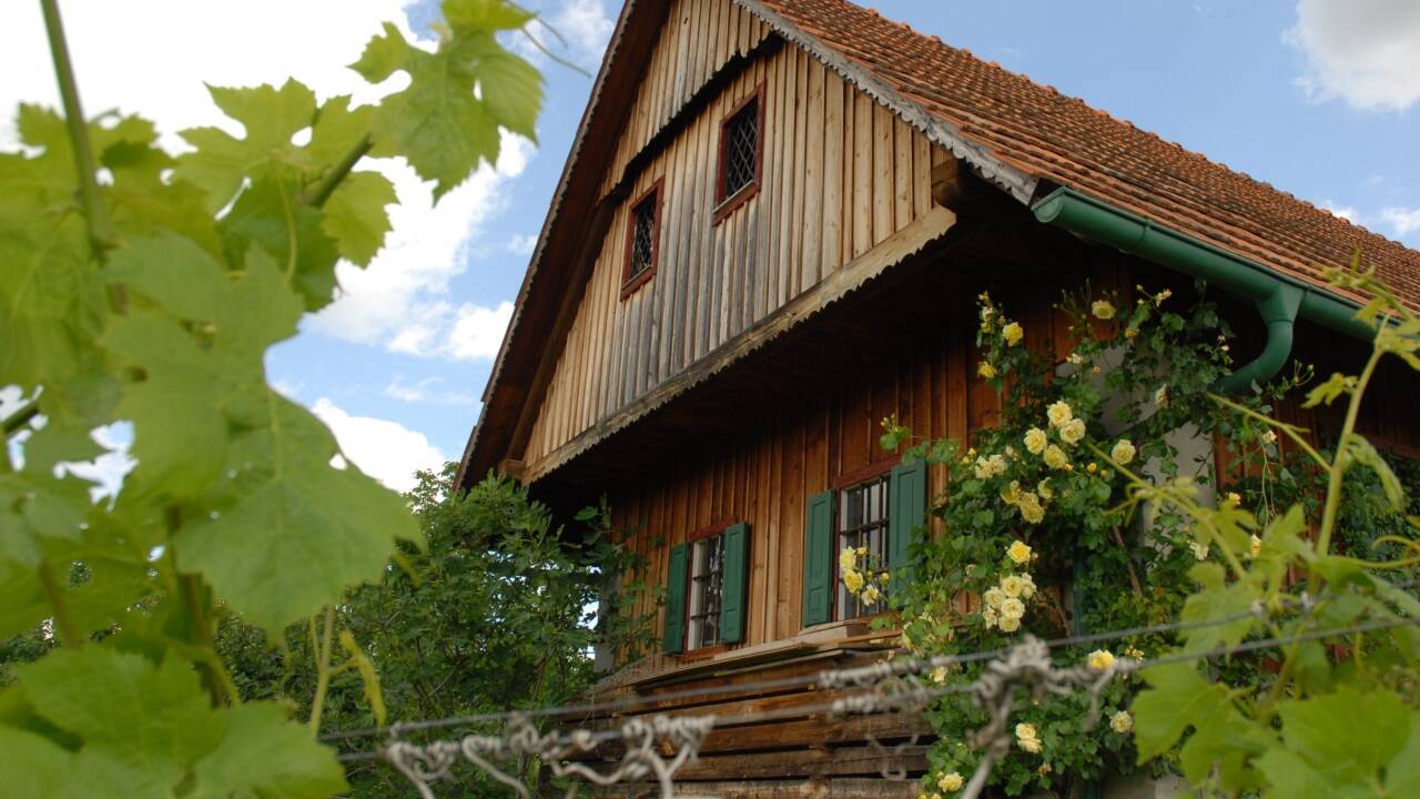 Gerade entlang der Südsteirischen Weinstraße sind Immobilien sehr begehrt. 