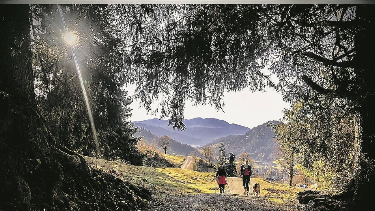 Der späte Sommer. Zu schön, um diffamiert zu werden.  