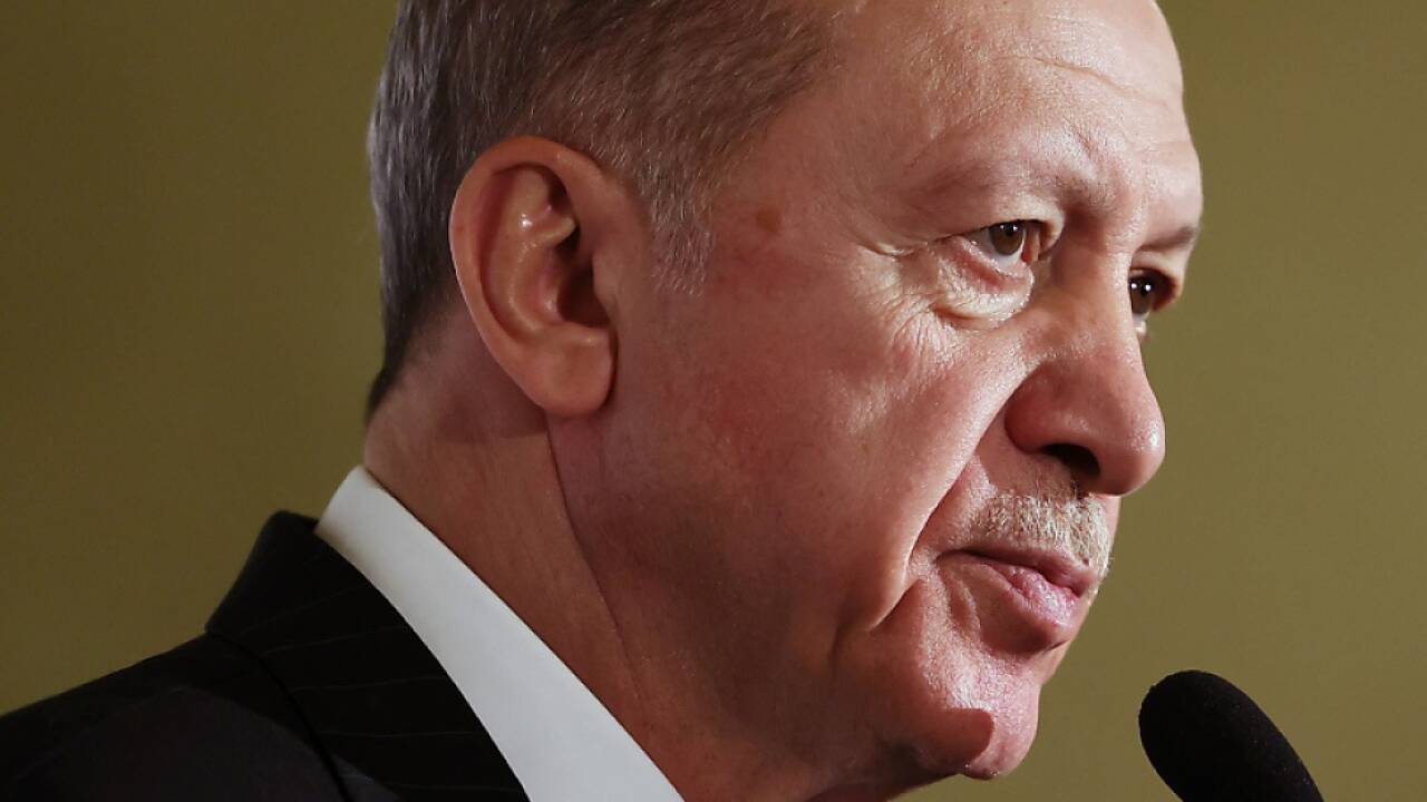 Türkeis Präsident Erdogan soll im Ukraine-Konflikt vermitteln 