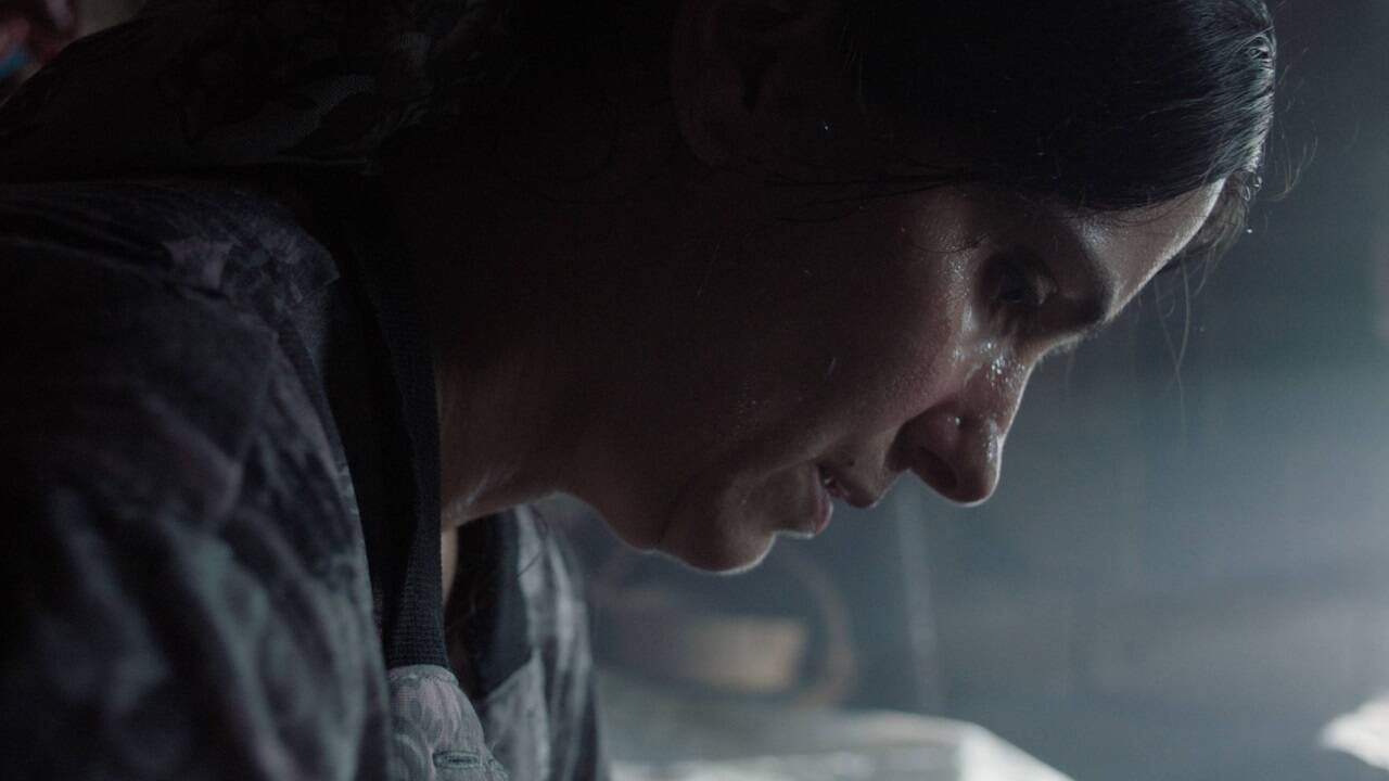 Bilder zum Film „Hive“. 