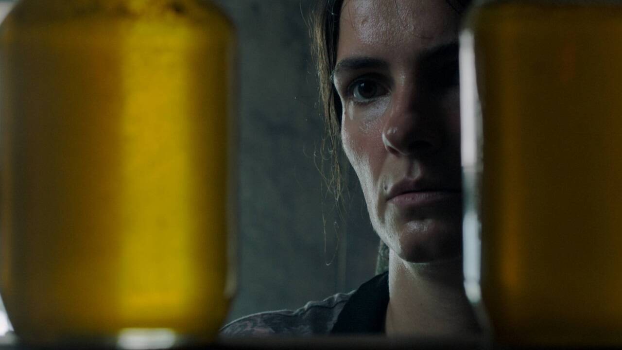 Bilder zum Film „Hive“. 