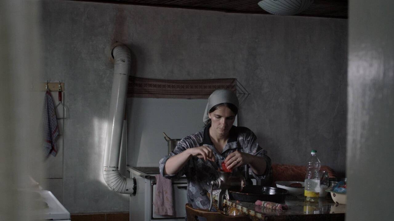 Bilder zum Film „Hive“. 