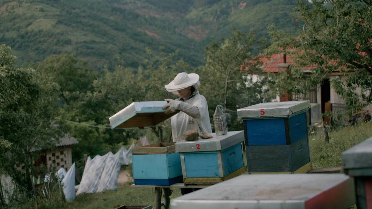 Bilder zum Film „Hive“. 