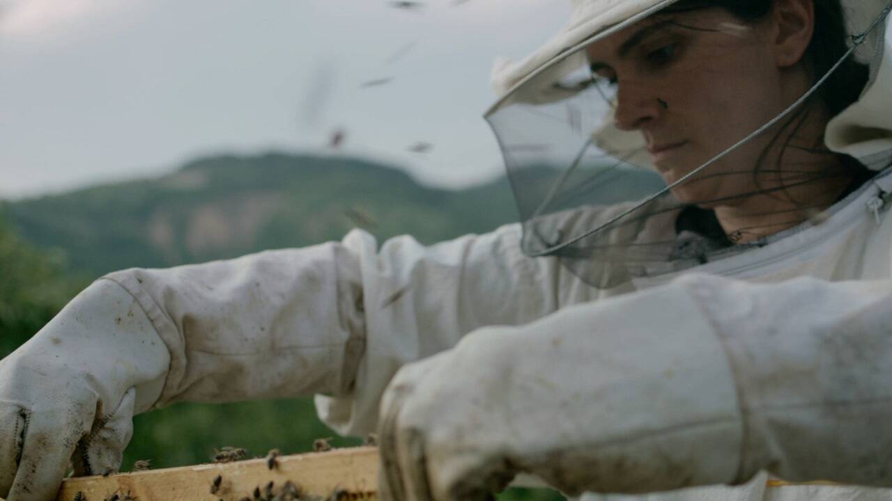 Bilder zum Film „Hive“. 