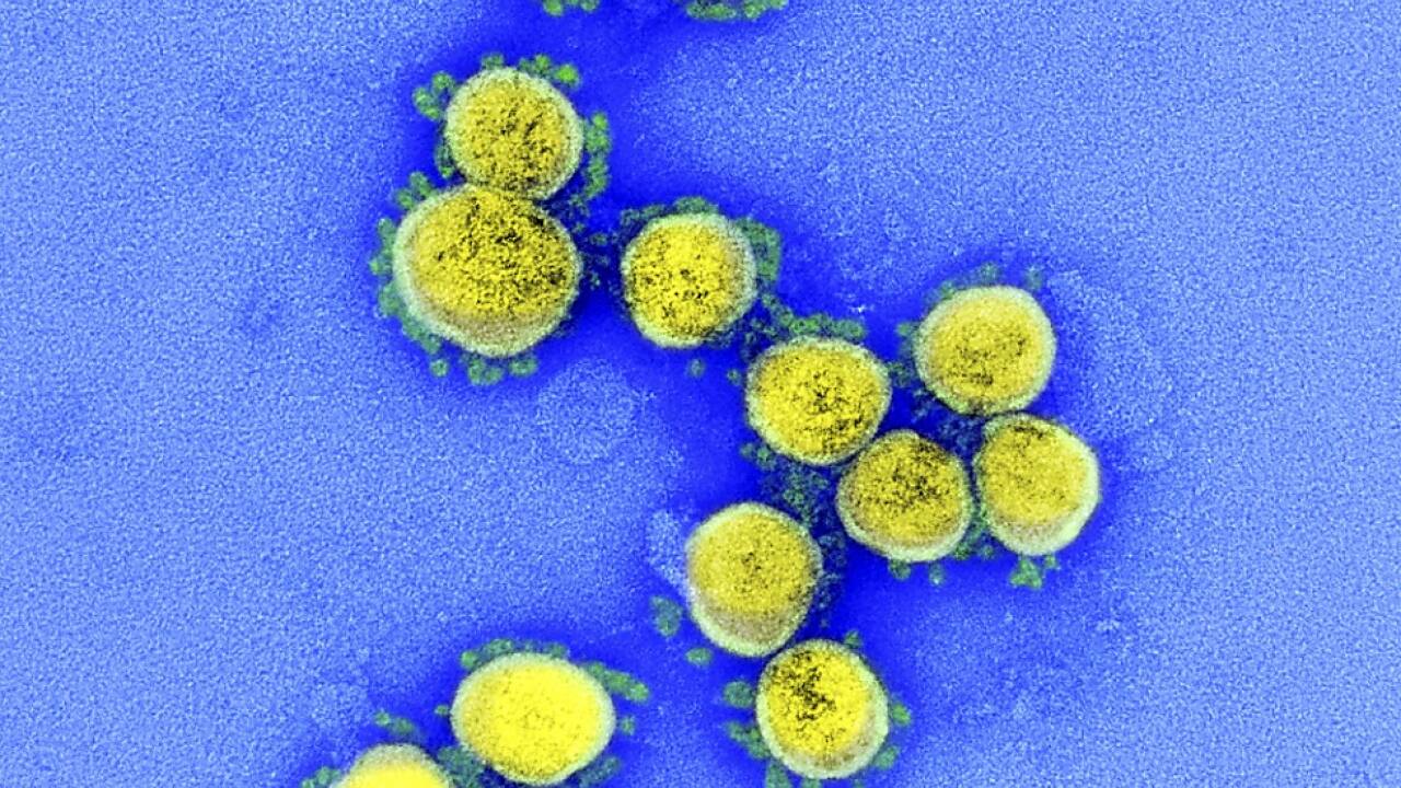 Die Zahlen der nachgewiesenen Corona-Infektionen sinken weiter Die Zahlen der nachgewiesenen Corona-Infektionen sinken weiter