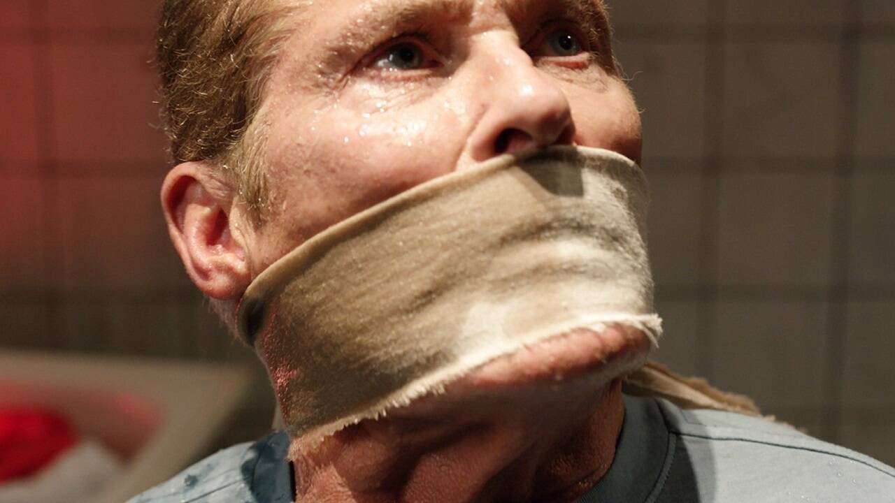 David Hasselhoff spielt sich in „Ze Network“ wieder einmal selbst. 