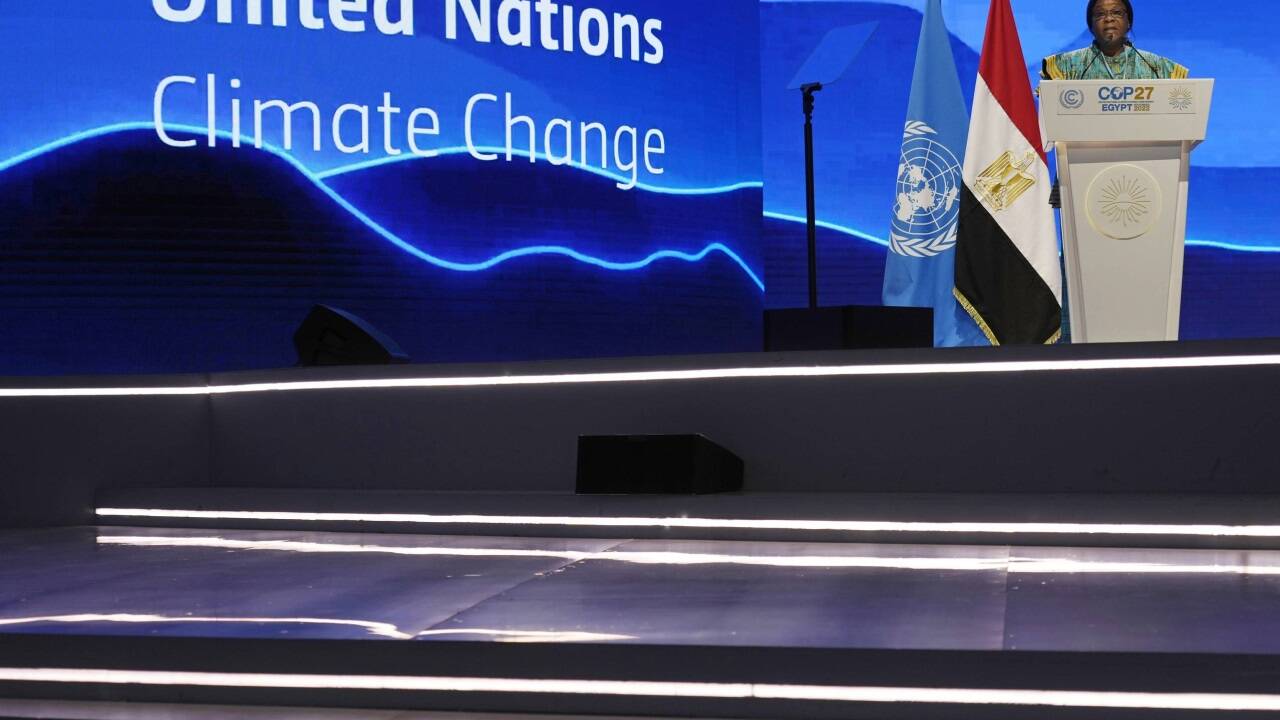 Rednerbühne. Am Wort ist Francisca Eneme Efua, Umweltministerin von Äquatorialguinea.  Rednerbühne. Am Wort ist Francisca Eneme Efua, Umweltministerin von Äquatorialguinea.