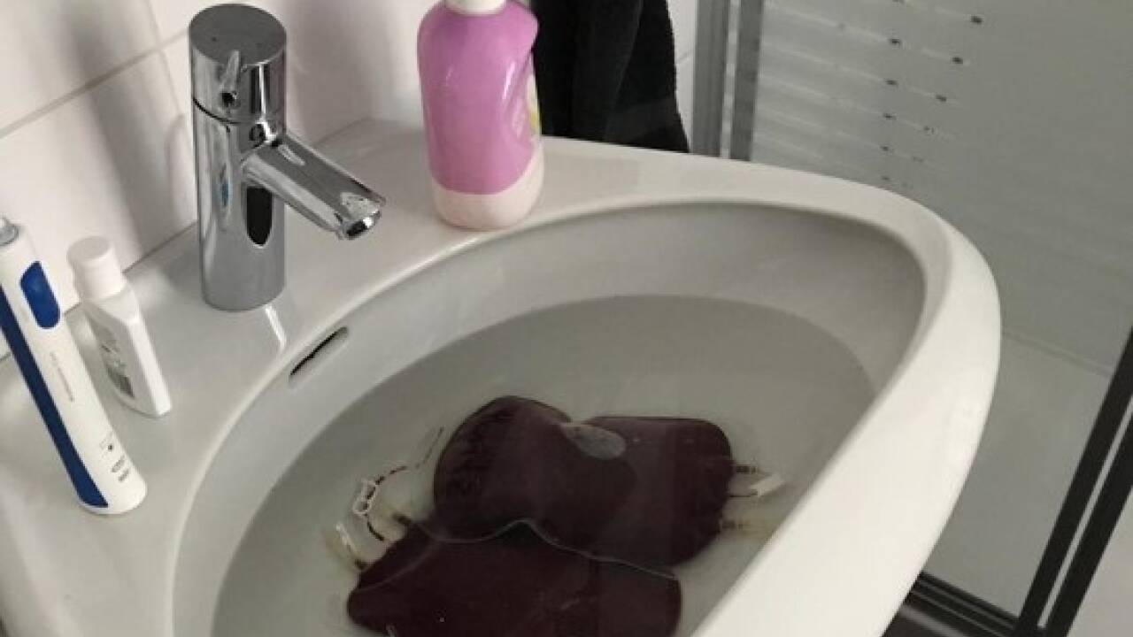 Bei der Razzia in Seefeld fand die Polizei auch Blutbeutel, die in Waschbecken aufgetaut wurden. 