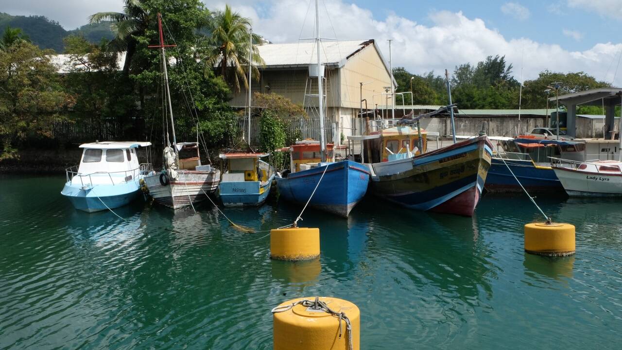 Beschaulich geht es zu im kleinen Hafen von Victoria. 