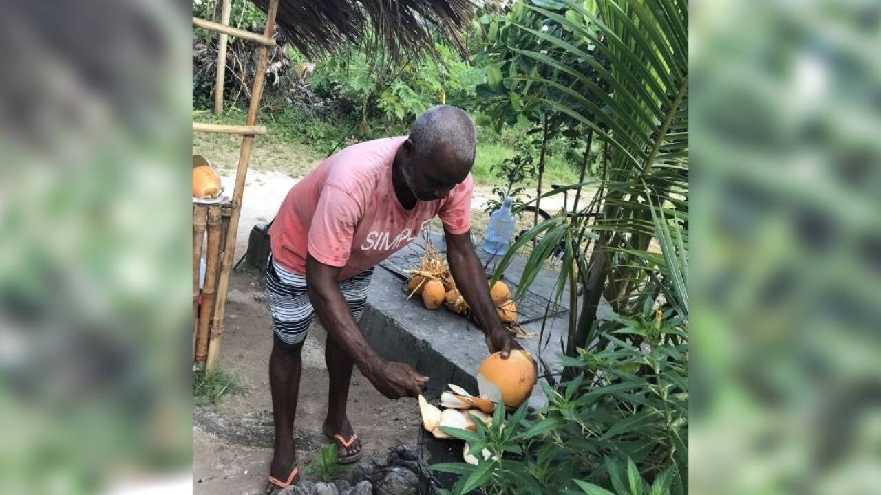 Die beste Erfrischung: Wasser aus der jungen Kokosnuss. 