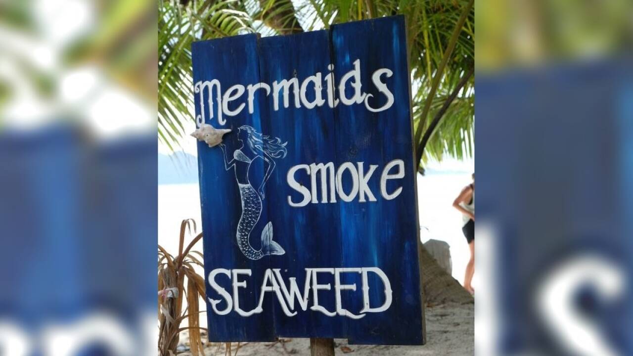 Es gilt die Unschuldsvermutung &Ouml; 