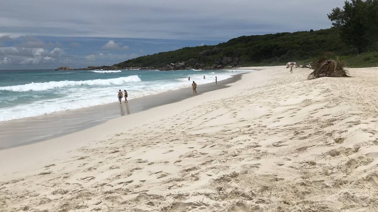 Wild, heiß und feinsandig: Grand Anse. 
