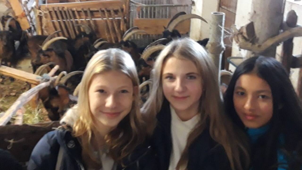 Alma, Alexandra und Melina von der 3a des Borromäums im Ziegenstall auf dem Archehof von Ambros Aichhorn.  