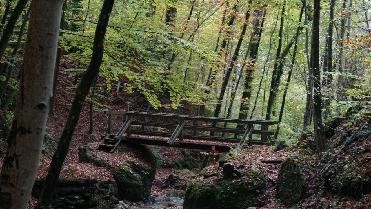 Wasserfälle, verschlungene Waldwege und Brücken machen die Idylle des Aigner Parks aus.  