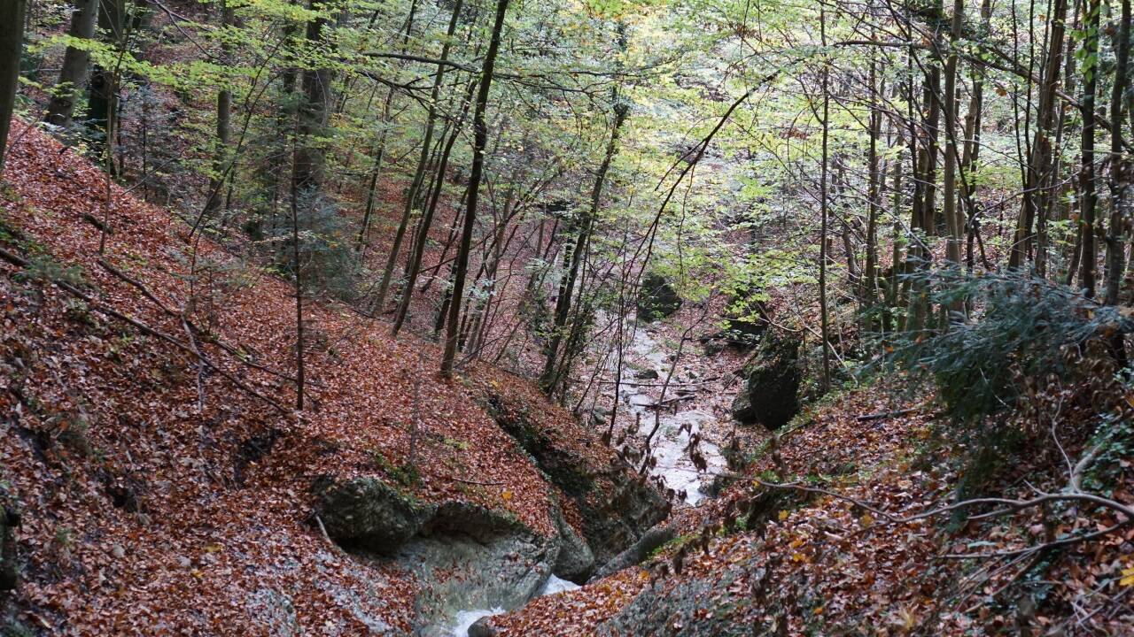 Wasserfälle, verschlungene Waldwege und Brücken machen die Idylle des Aigner Parks aus.  