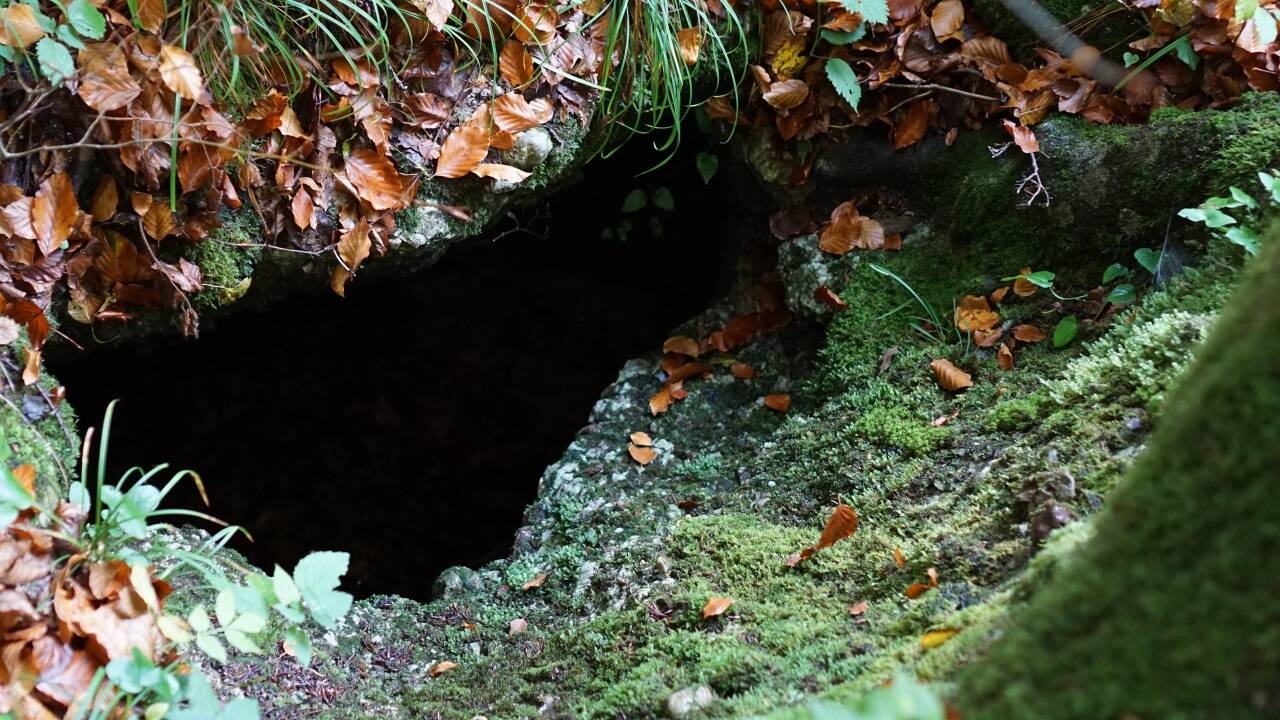 Wasserfälle, verschlungene Waldwege und Brücken machen die Idylle des Aigner Parks aus.  
