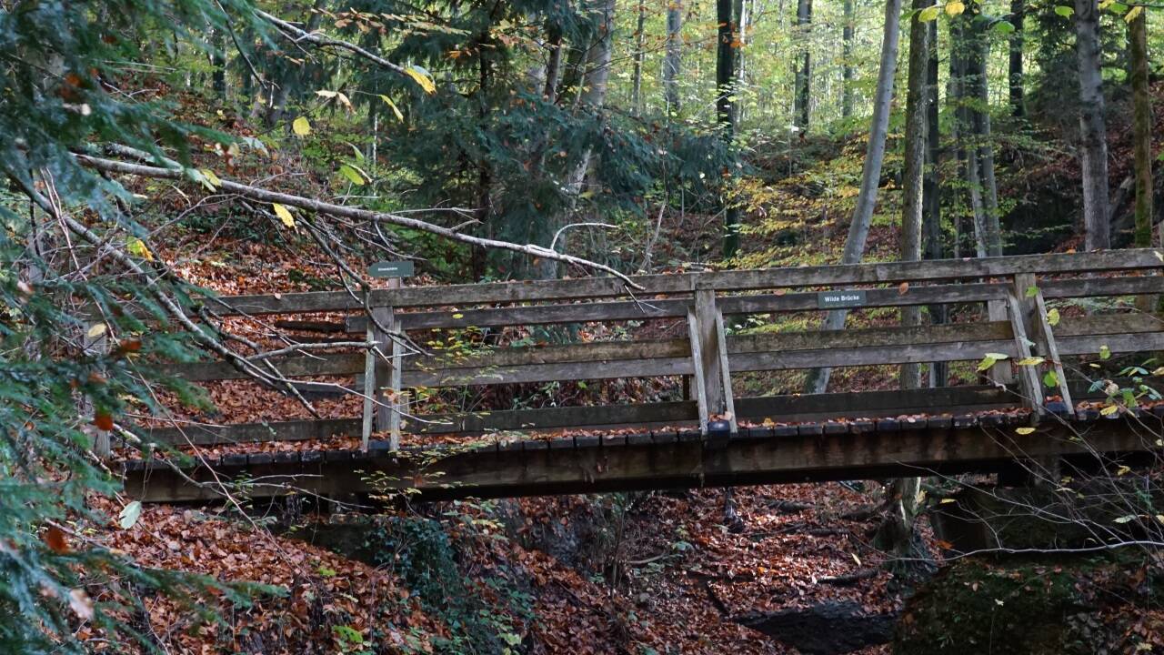 Wasserfälle, verschlungene Waldwege und Brücken machen die Idylle des Aigner Parks aus.  