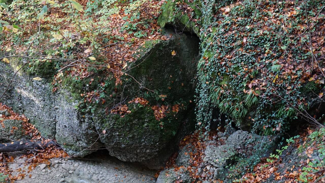 Wasserfälle, verschlungene Waldwege und Brücken machen die Idylle des Aigner Parks aus.  