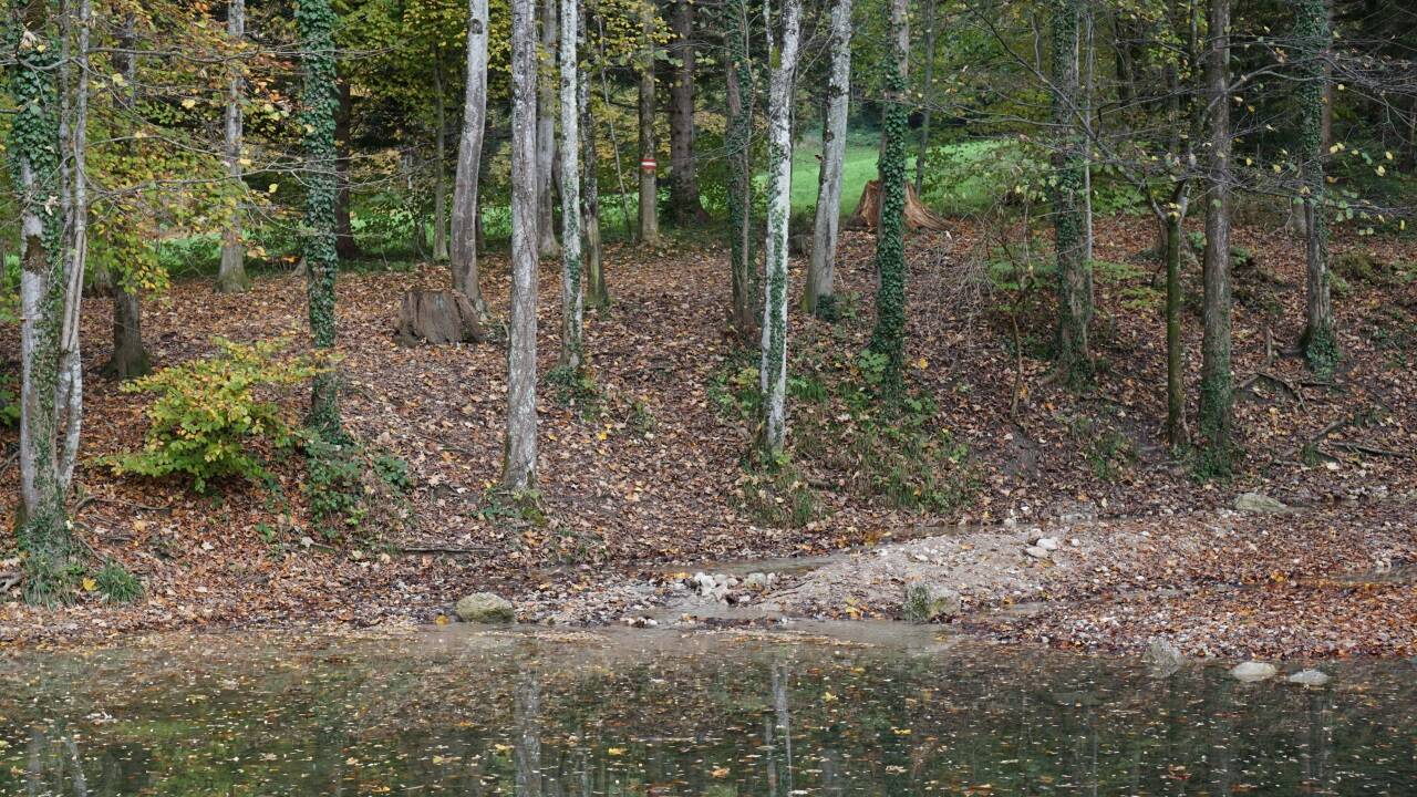 Wasserfälle, verschlungene Waldwege und Brücken machen die Idylle des Aigner Parks aus.  