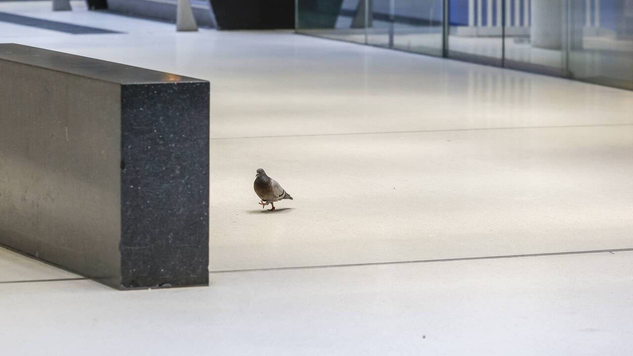 Der Salzburger Hauptbahnhof am Montag.  
