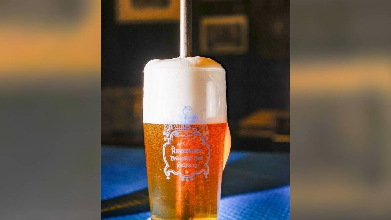 Zuerst fährt der „Stachel“ nur in den Schaum, später dann durch das Bier und bis zum Boden des Seiterlglases. 
