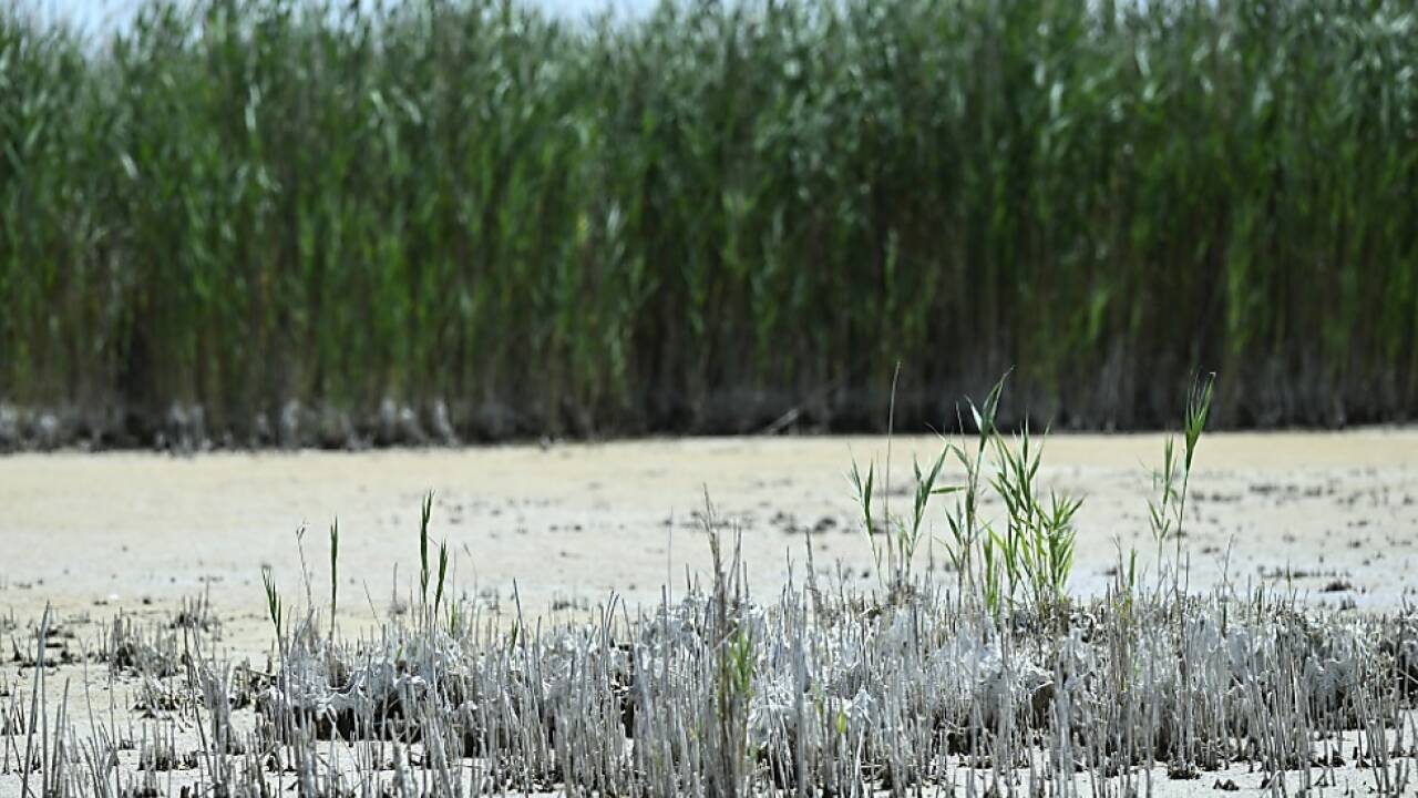 Länder wollen See trotz historisch niedrigem Wasserstand erhalten 