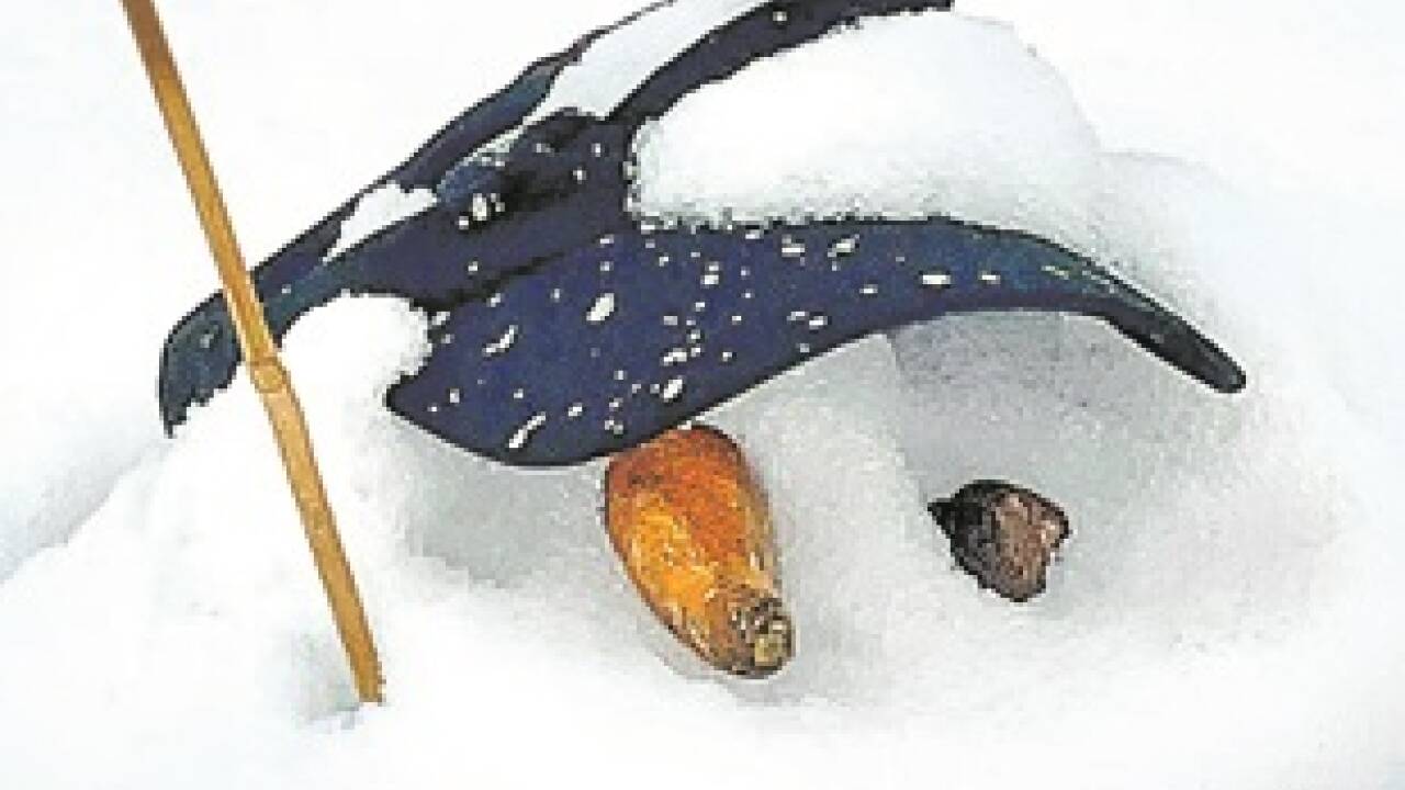 Mein Schneemann. 