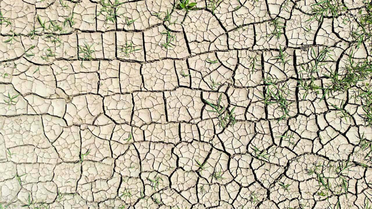 Der Klimawandel trocknete 2022 die Erde vielerorts aus 