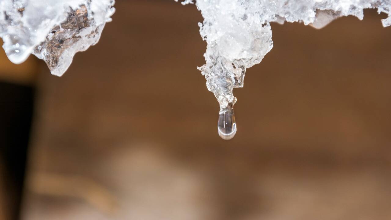 Der Schnee wird in den Niederungen wieder weggehen. Der Schnee wird in den Niederungen wieder weggehen.