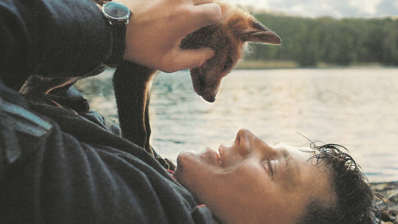 Simon Morzé alias Franz Streitberger mit seinem Freund, dem Fuchs. Um authentisch in die Rolle von Adrian Goigingers Urgroßvater zu schlüpfen, musste sich Morzé den Pinzgauer Dialekt aneignen.  