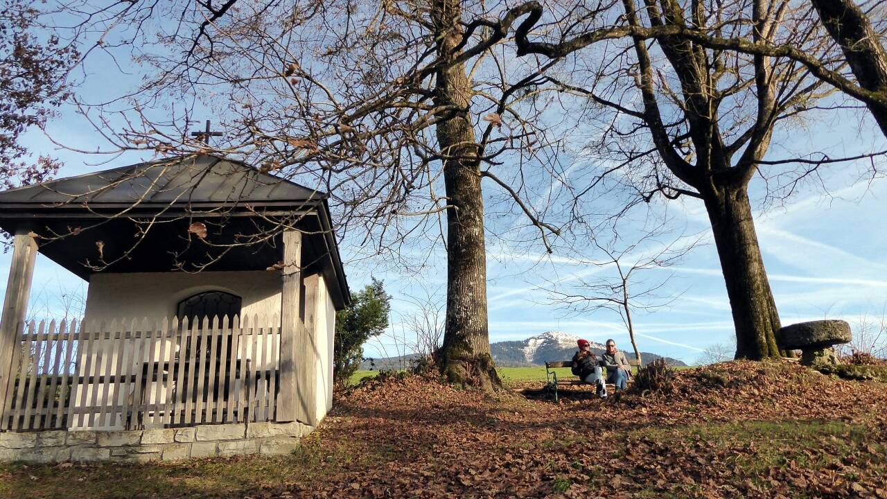 Ziemlich grün für Anfang Jänner, aber vielleicht hilft ja ein Stoßgebet in der Kirche St. Margarethen. Ziemlich grün für Anfang Jänner, aber vielleicht hilft ja ein Stoßgebet in der Kirche St. Margarethen.