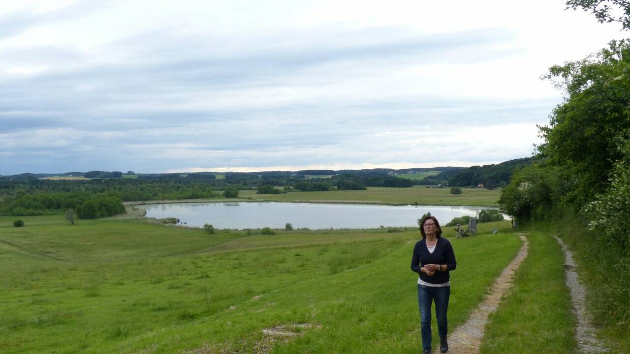 Ein Mosaik von Biotopen Ein Mosaik von Biotopen