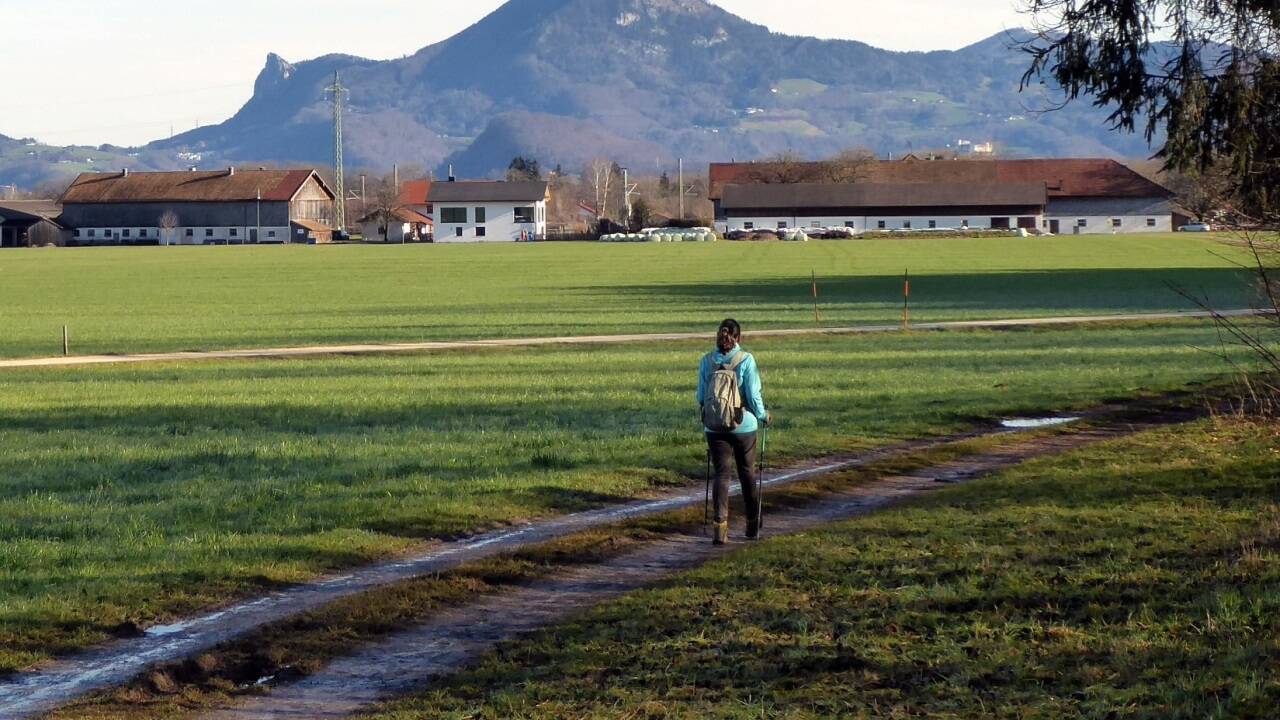 Von der Schneeberg-Nordseite öffnet sich die vertraute Gaisberg-Nockstein-Silhouette mit der Wallfahrtskirche Feldkirchen. Von der Schneeberg-Nordseite öffnet sich die vertraute Gaisberg-Nockstein-Silhouette mit der Wallfahrtskirche Feldkirchen.