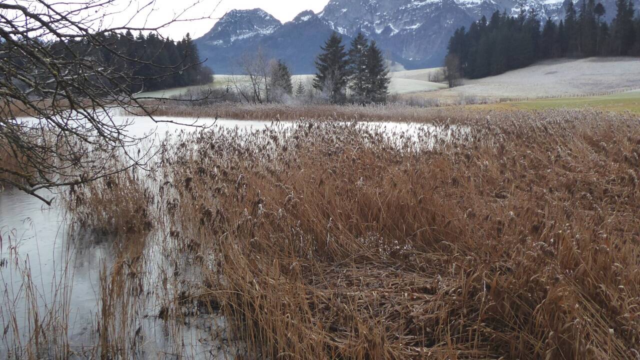 Der Blick vom Egelsee in Richtung Tennengebirge. Der Blick vom Egelsee in Richtung Tennengebirge.