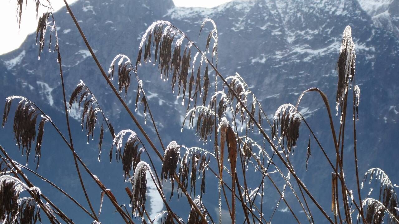 Der Blick vom Egelsee in Richtung Tennengebirge. Der Blick vom Egelsee in Richtung Tennengebirge.