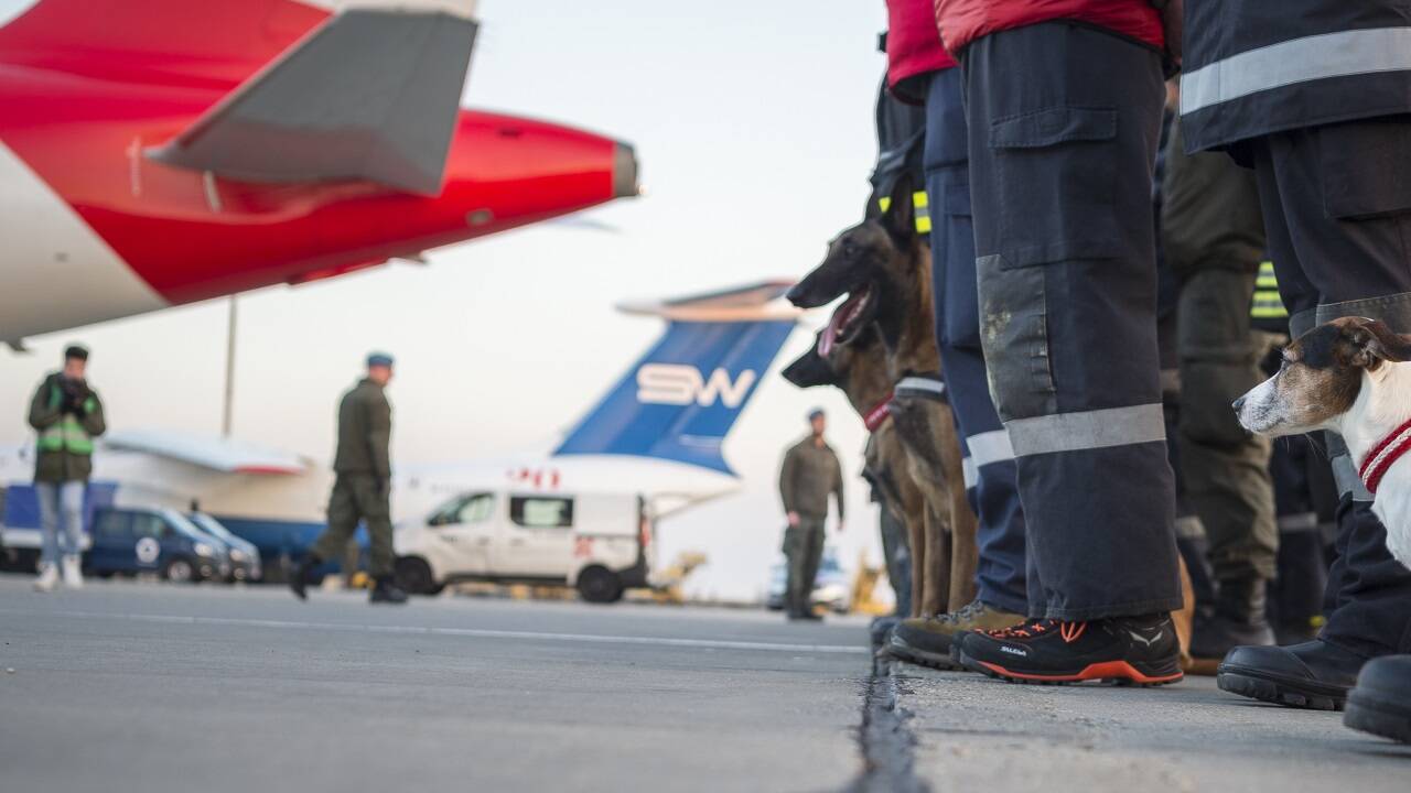 Suchhunde sind ebenfalls im Einsatz.  