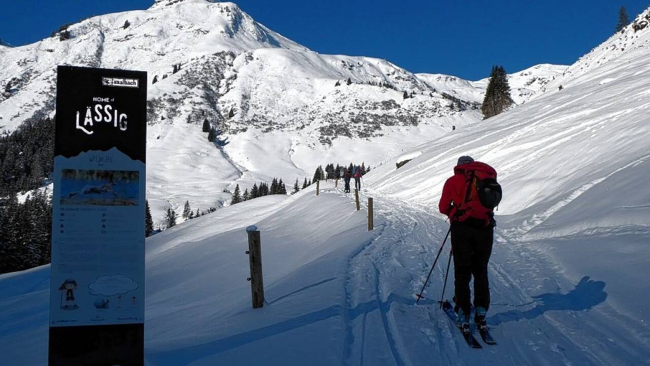 Kurz nach der Ossmannalm auf dem Wildlife Trail in Blickrichtung Gamshag.  