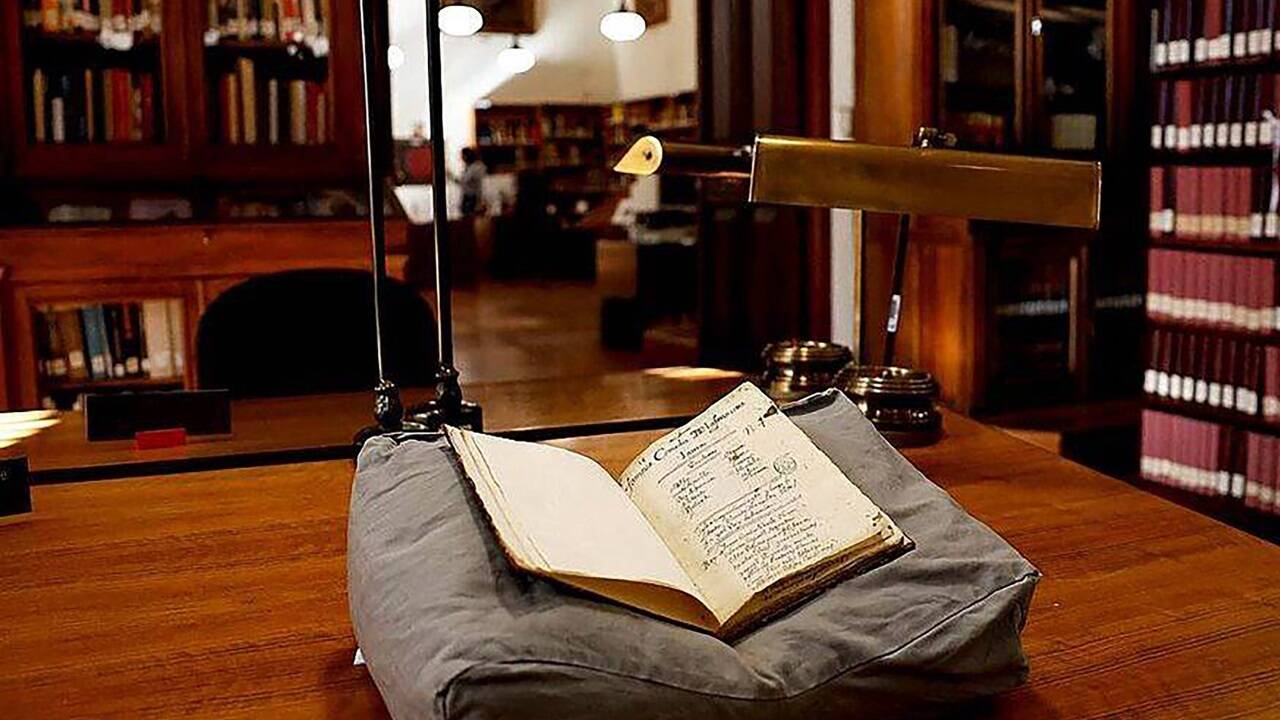 Eine KI entdeckte „La francesca Laura“. Eine KI entdeckte „La francesca Laura“.