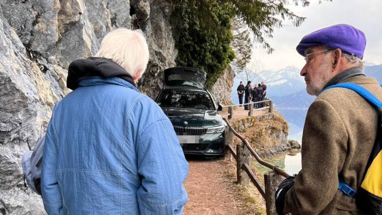 Fußgänger wunderten sich am Donnerstag über den ungewöhnlichen Gegenverkehr auf dem Wanderweg am Wolfgangsee.  