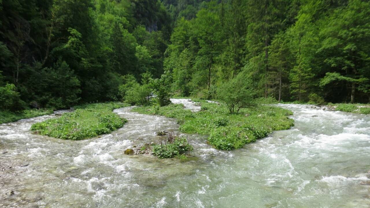 Quellfrisch bis nach Hallein Quellfrisch bis nach Hallein