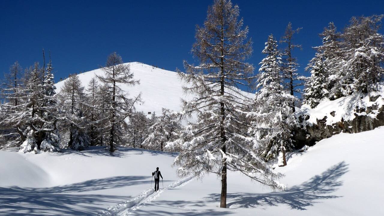 Die Spur führt auf den Pitscherberg (1720 m). Die Spur führt auf den Pitscherberg (1720 m).