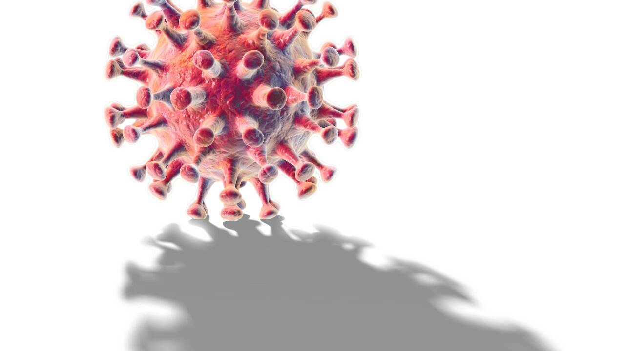 Rund zehn Prozent der Coronaerkrankten leiden auch an den Spätfolgen, die unter dem Begriff Long Covid zusammengefasst werden. 