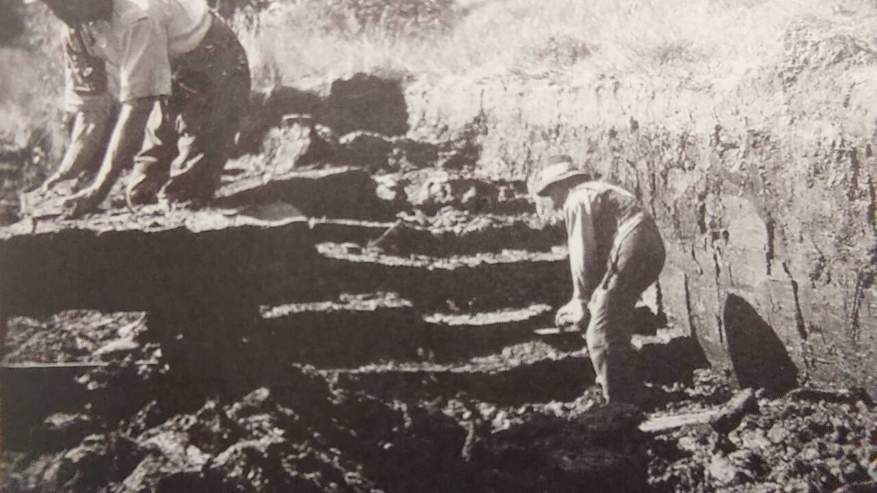 Stechen von Torfziegeln im Wasenmoos bei Mittersill. Zum Abtransport diente wie bei vielen Mooren eine kleine Feldbahn. 