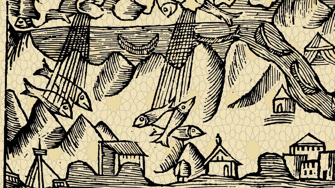 Historische Zeichnung vom „Fisch-Regen“ in Skandinavien aus dem Jahr 1555.  