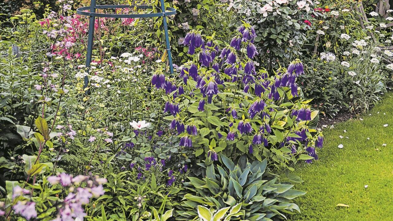 Herausforderung für alle Gartenbesitzer: Wie wird das eigene Grün klimafit? 