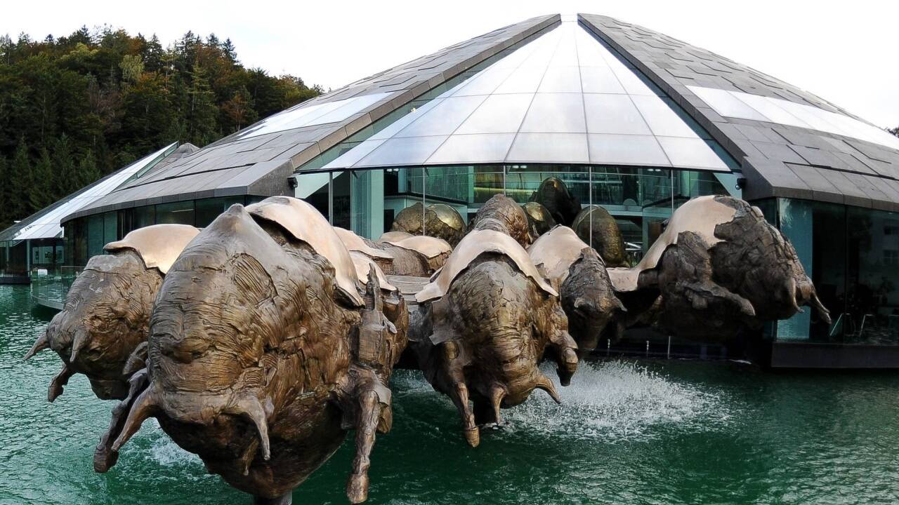 Razzia in der Red-Bull-Zentrale in Fuschl. 