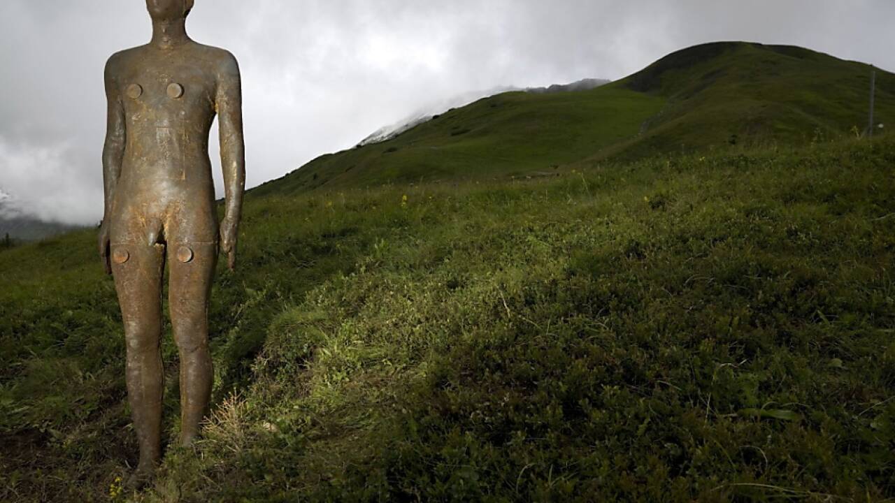 Landart-Projekt 'Horizon Field' soll wiedererrichtet werden. 